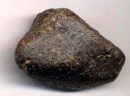 Météorite NWA 869 de type chondrite