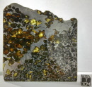 Pallasite Seymchan